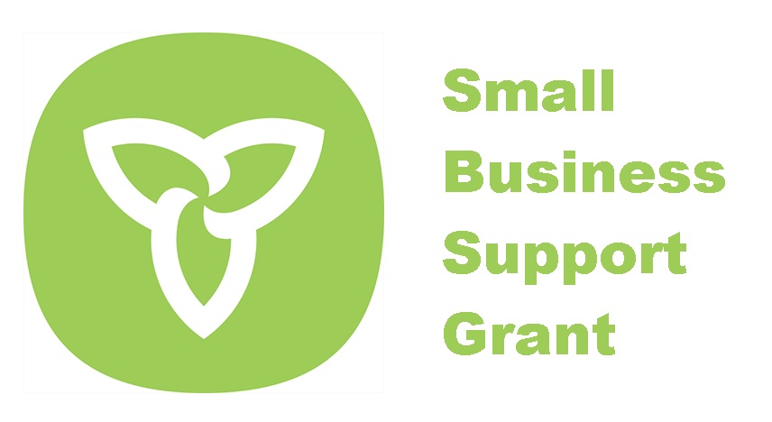 Small-Business-Support-Grant